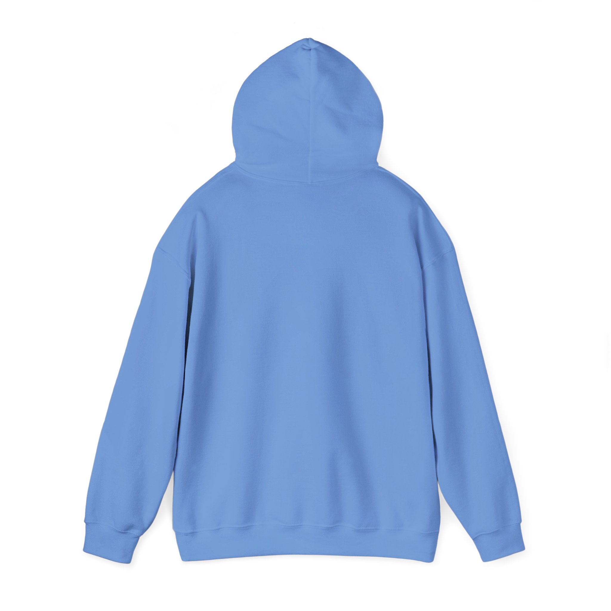 Pharmacy Healing Heart Hoodie — Pharmacist Appreciation Medical Crewneck
