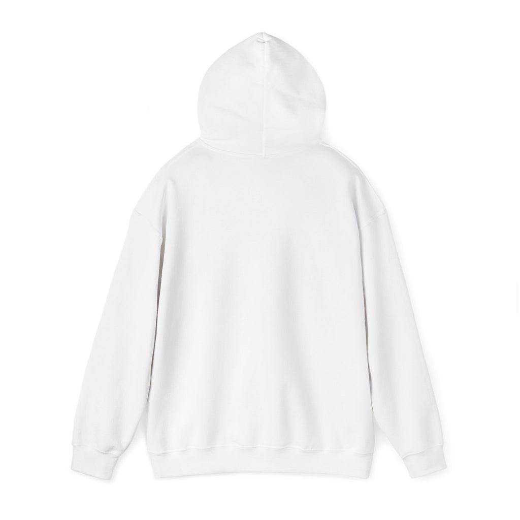 Pharmacists Are Superheroes Hoodie — "Pharmacists Medication Superheroes" Graphic Hooded Sweatshirt