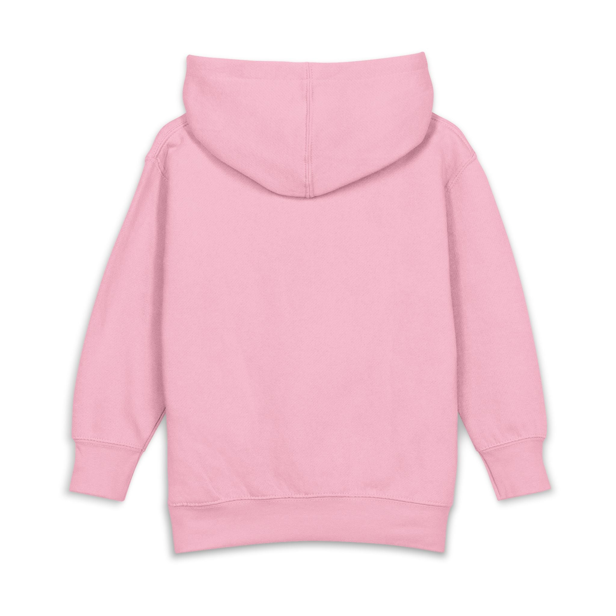 Back to School Toddler Hoodie — "Back to School: New Adventures, New Friends, New Goals"