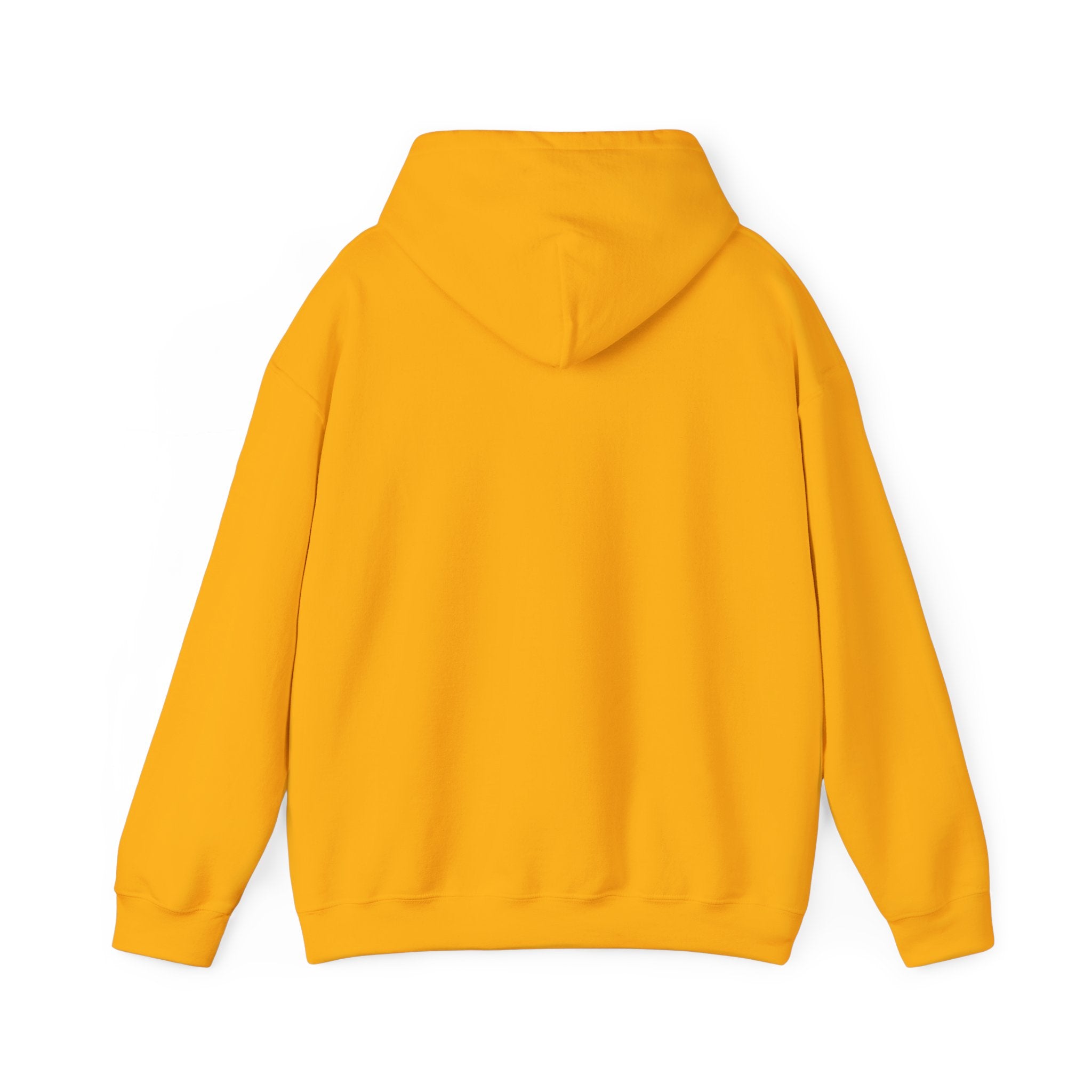 Pharmacists Are Superheroes Hoodie — "Pharmacists Medication Superheroes" Graphic Hooded Sweatshirt