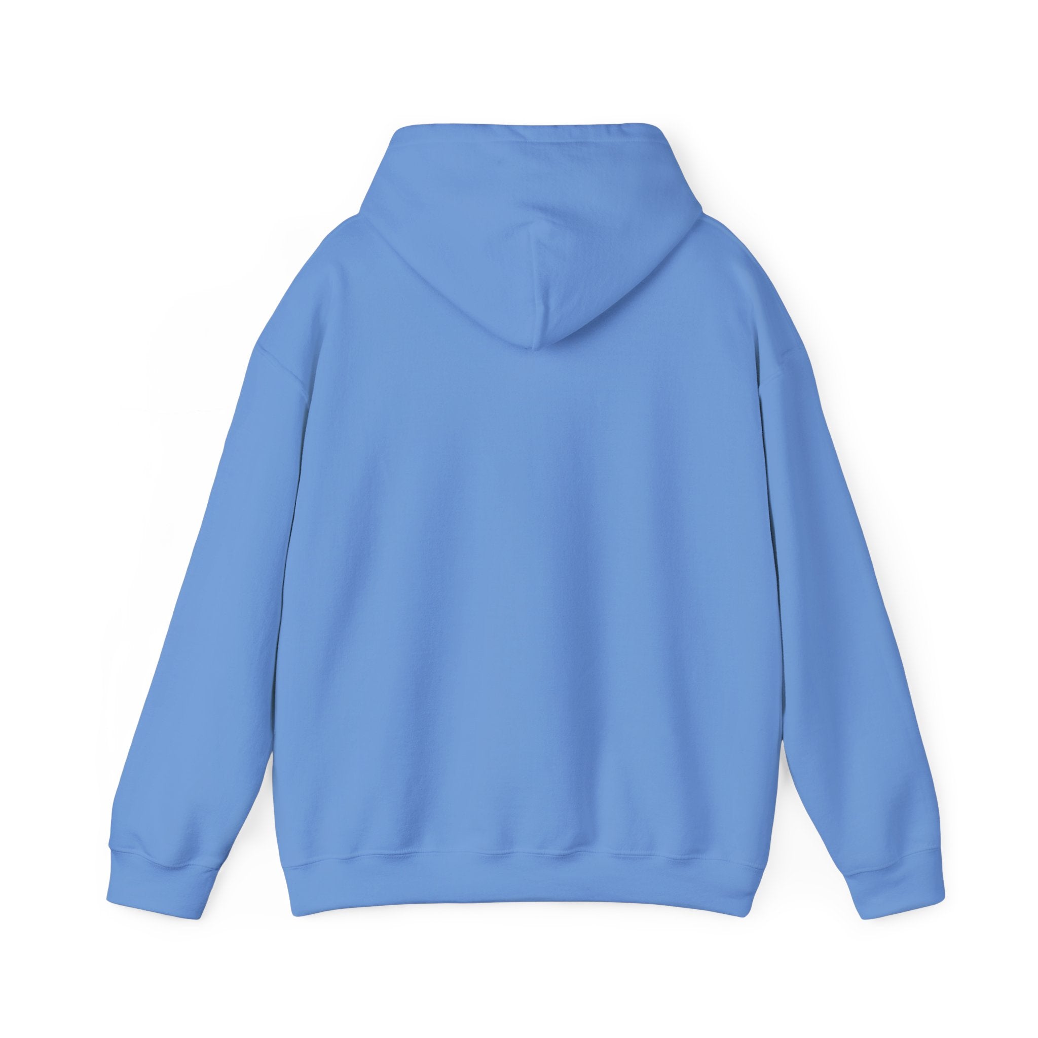 Pharmacy Healing Heart Hoodie — Pharmacist Appreciation Medical Crewneck