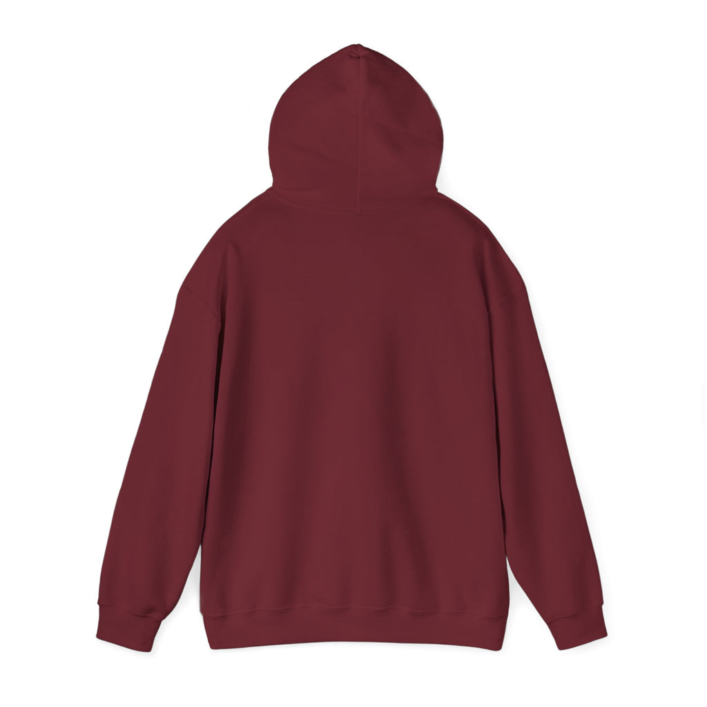 Know Your A1C Hoodie — Diabetes Awareness Sweatshirt