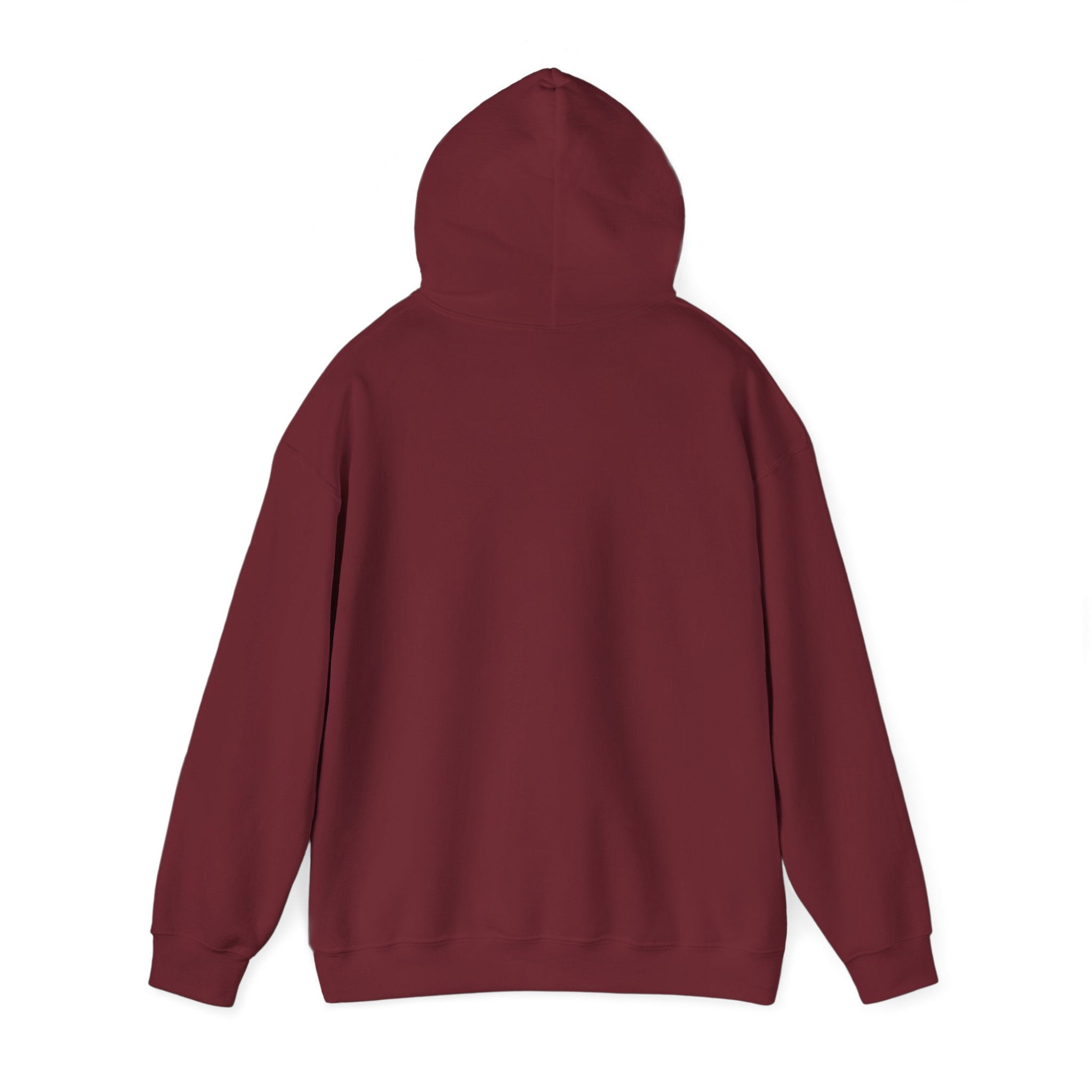 Know Your A1C Hoodie — Diabetes Awareness Sweatshirt