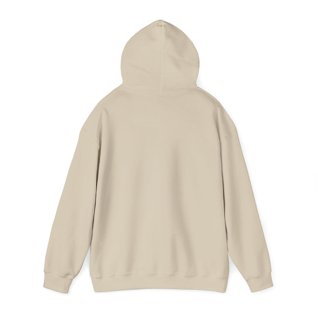 Know Your A1C Hoodie — Diabetes Awareness Sweatshirt