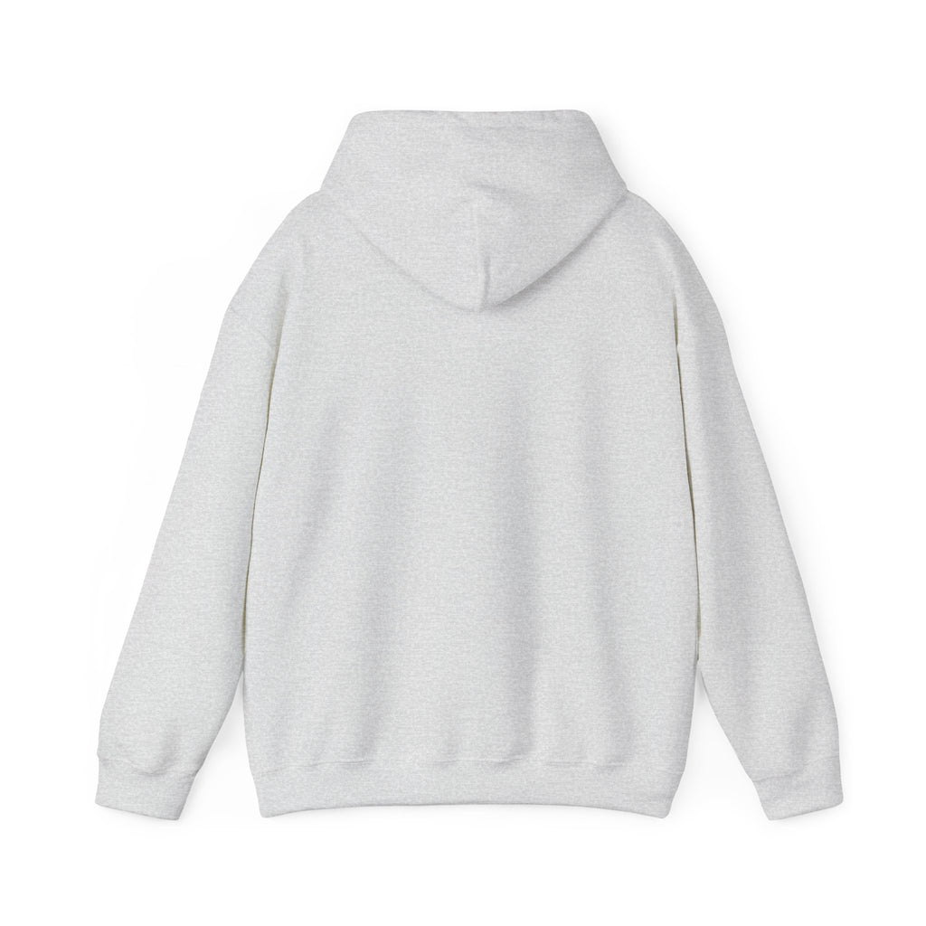 Pharmacists Are Superheroes Hoodie — "Pharmacists Medication Superheroes" Graphic Hooded Sweatshirt