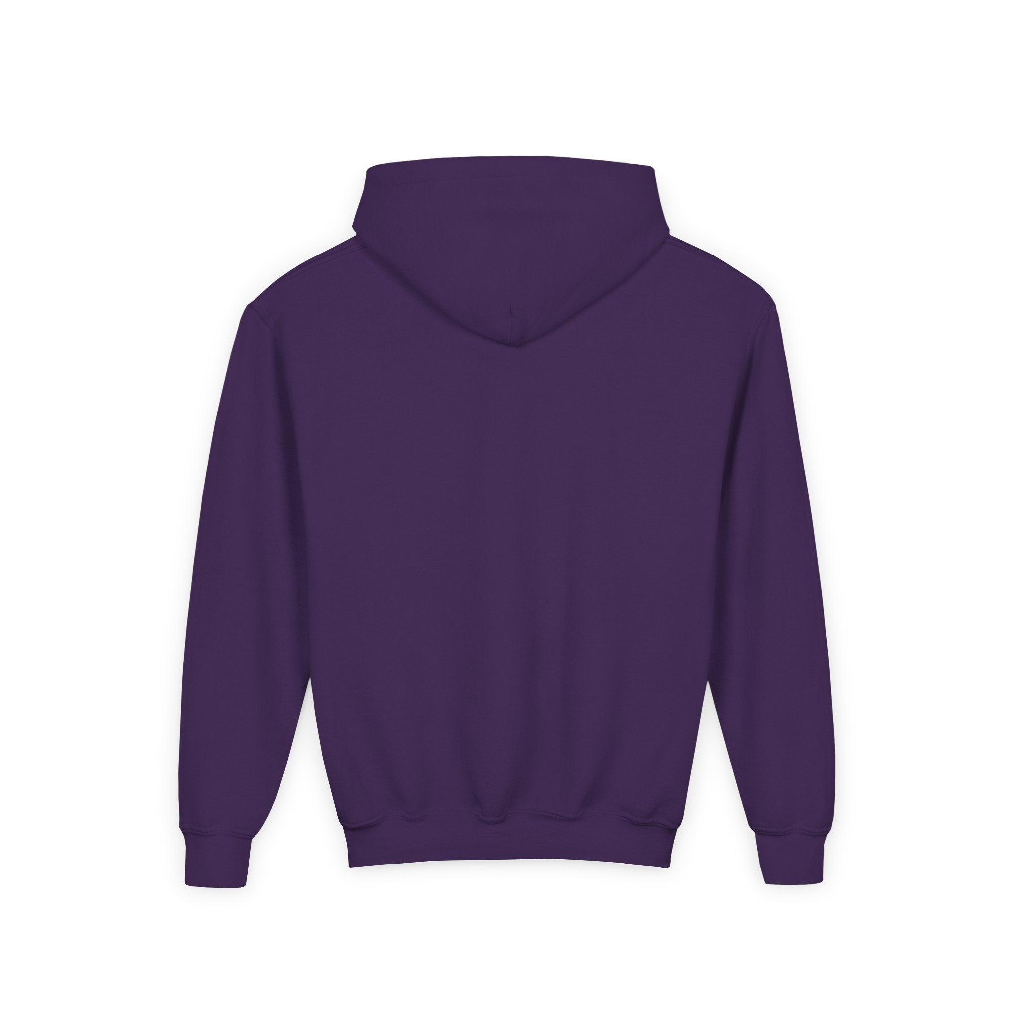 Youth Hoodie — “100 Days of School” Colorful Smiley Daisy Celebration