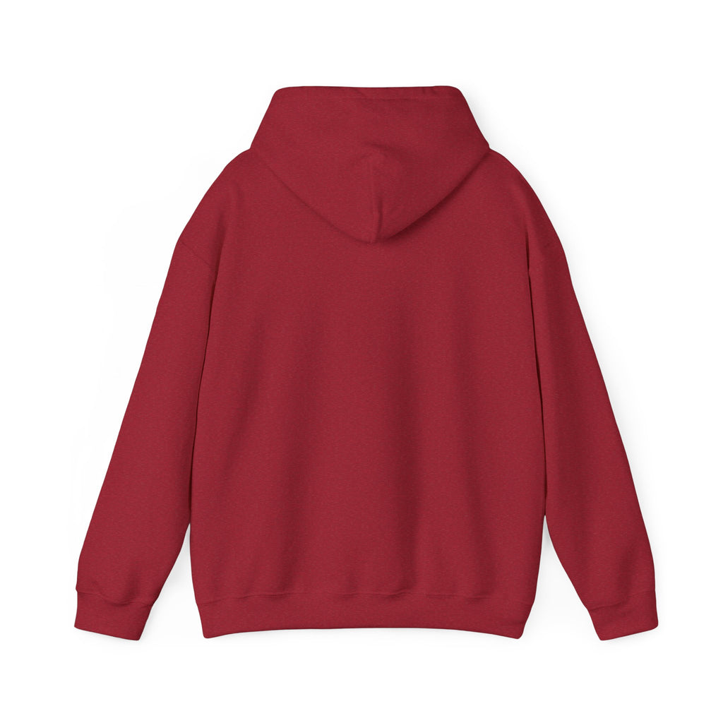 Pharmacists Are Superheroes Hoodie — "Pharmacists Medication Superheroes" Graphic Hooded Sweatshirt