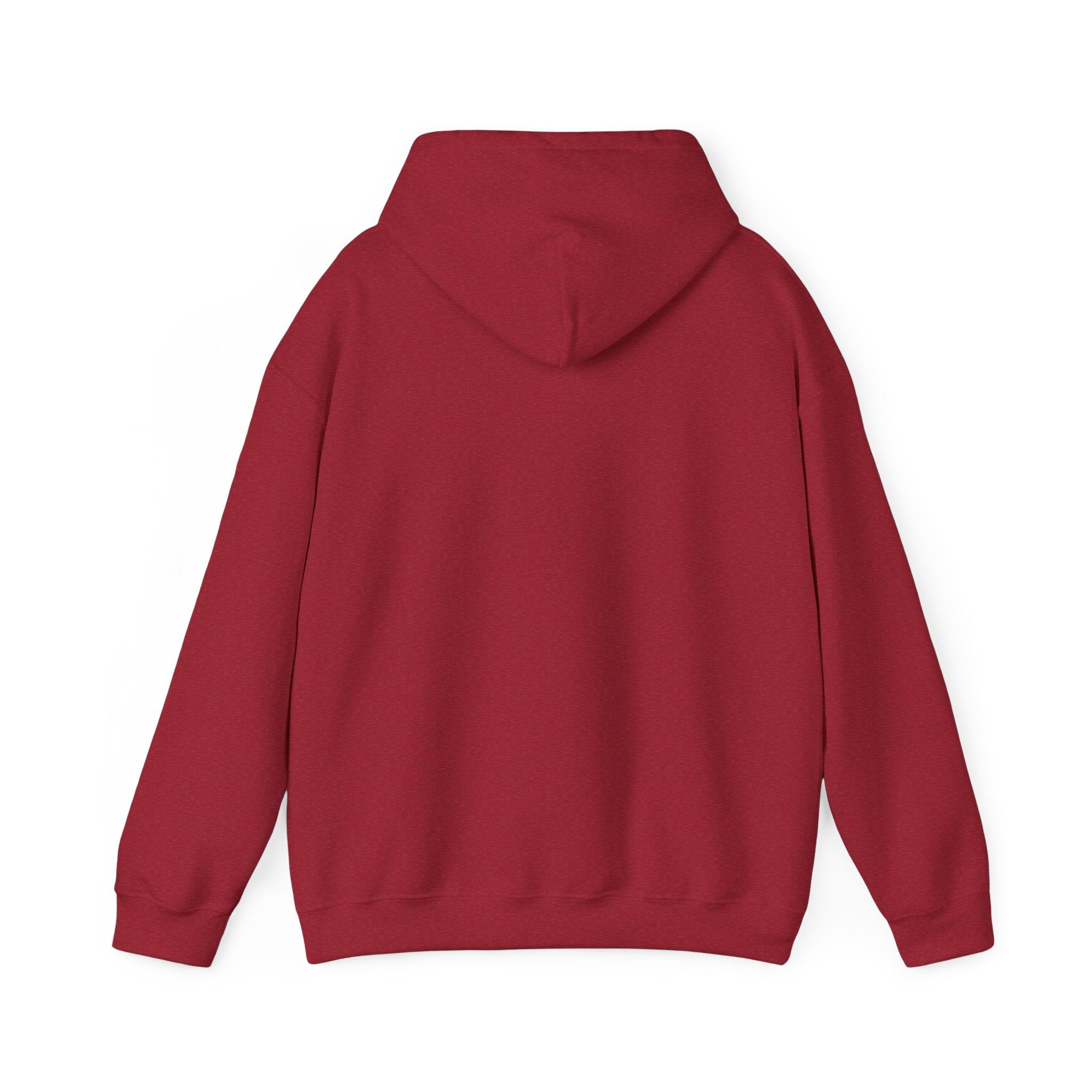 Pharmacists Are Superheroes Hoodie — "Pharmacists Medication Superheroes" Graphic Hooded Sweatshirt