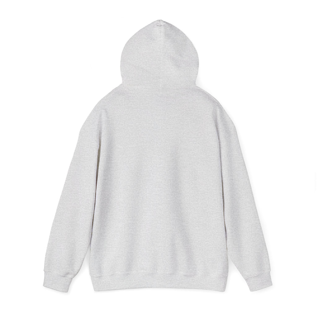 Pharmacists Are Superheroes Hoodie — "Pharmacists Medication Superheroes" Graphic Hooded Sweatshirt