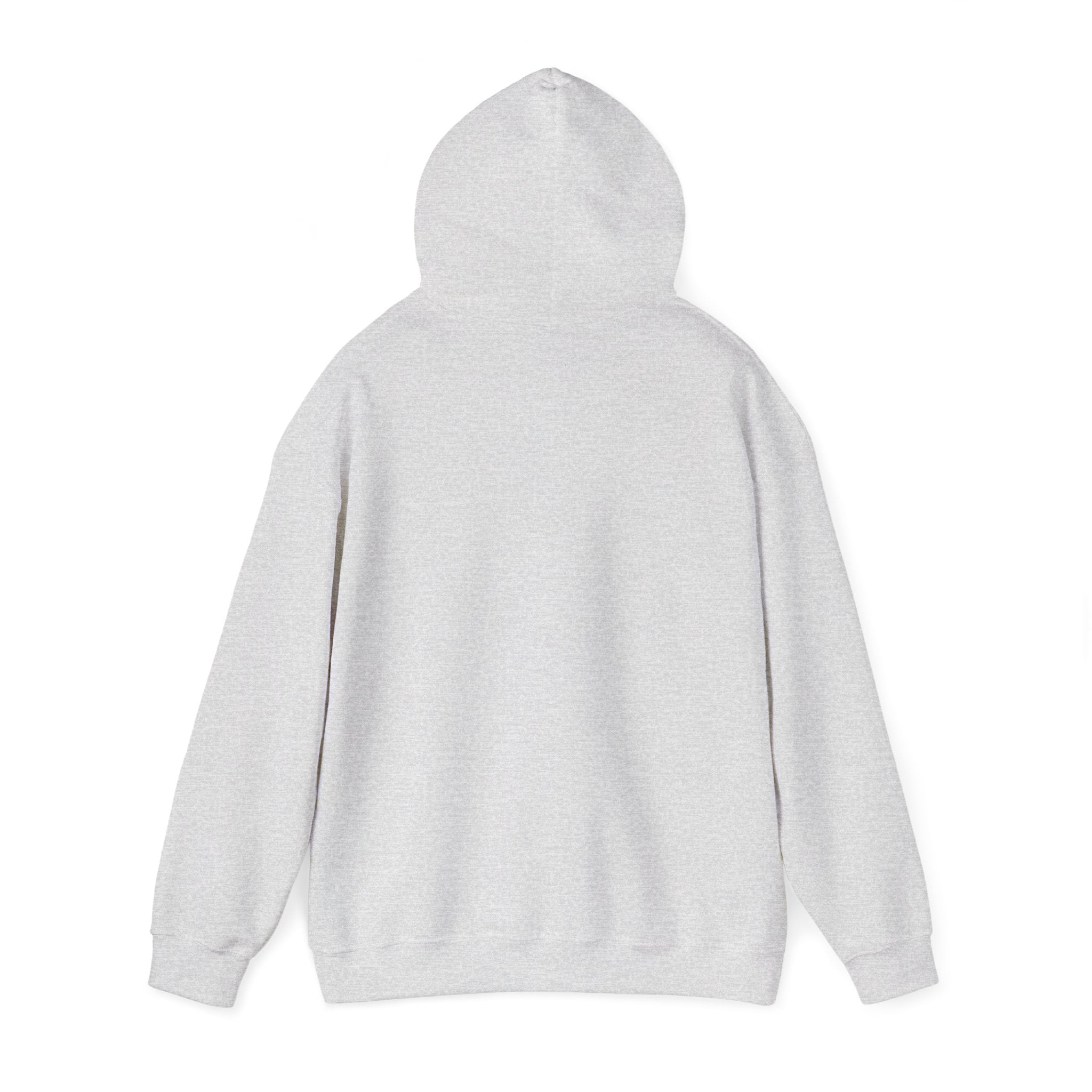 Pharmacists Are Superheroes Hoodie — "Pharmacists Medication Superheroes" Graphic Hooded Sweatshirt