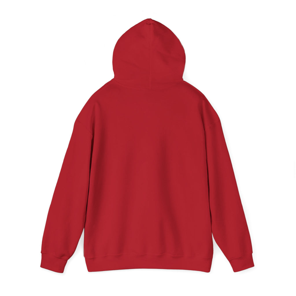 Medicine Passion Purpose Hoodie – Medical Student & Nurse Gift Pullover