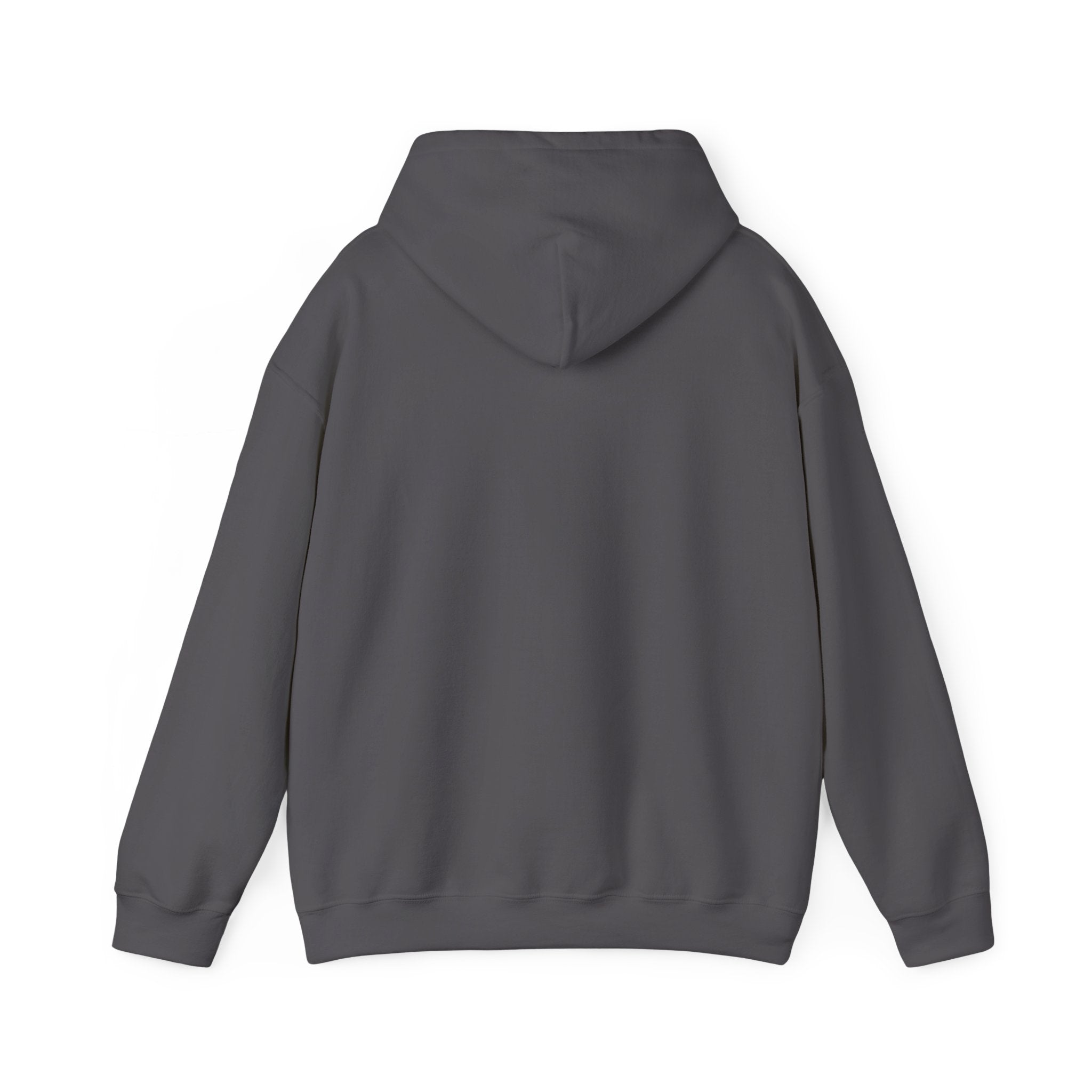 Know Your A1C Hoodie — Diabetes Awareness Sweatshirt
