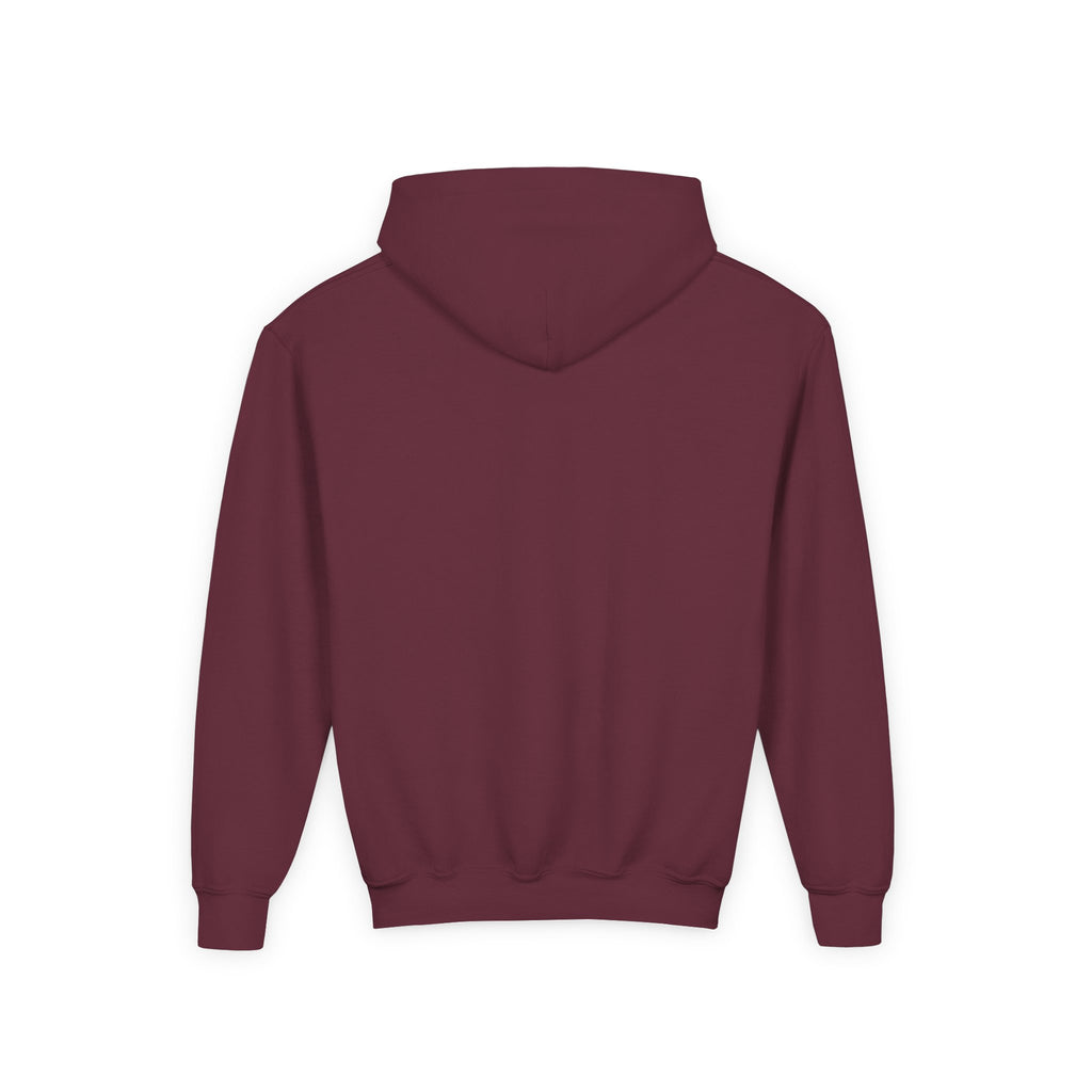 Youth Hoodie — “100 Days of School” Colorful Smiley Daisy Celebration