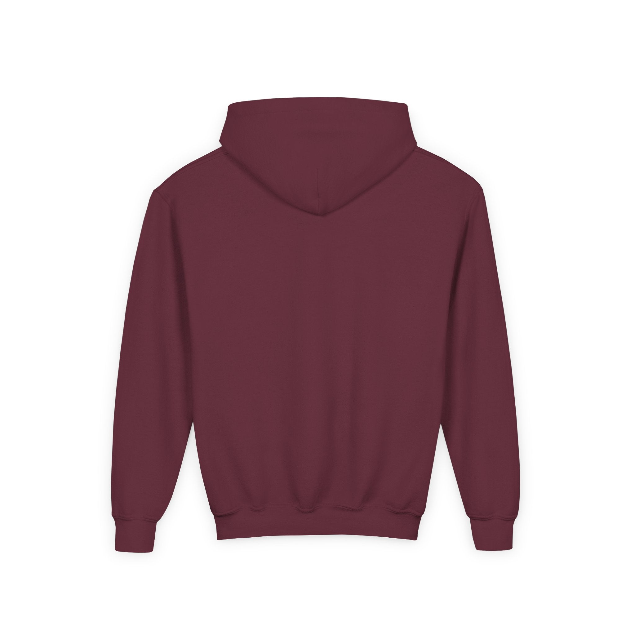 Youth Hoodie — “100 Days of School” Colorful Smiley Daisy Celebration