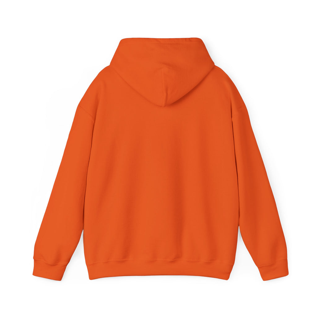 Pharmacists Are Superheroes Hoodie — "Pharmacists Medication Superheroes" Graphic Hooded Sweatshirt