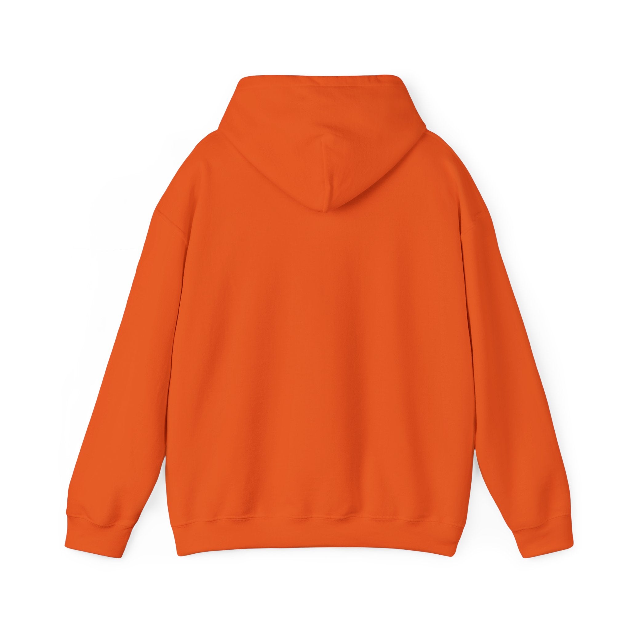 Pharmacists Are Superheroes Hoodie — "Pharmacists Medication Superheroes" Graphic Hooded Sweatshirt