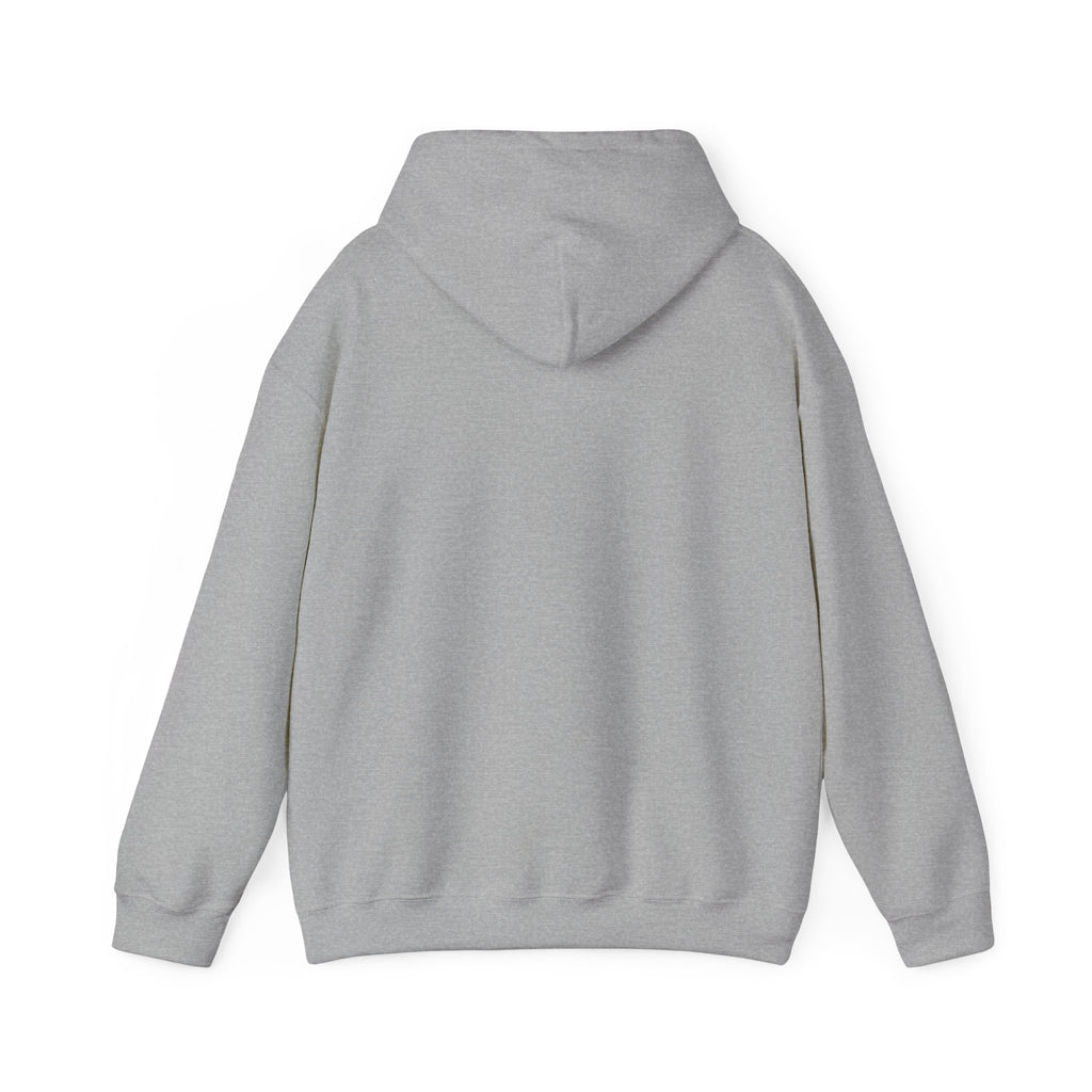 Pharmacists Are Superheroes Hoodie — "Pharmacists Medication Superheroes" Graphic Hooded Sweatshirt