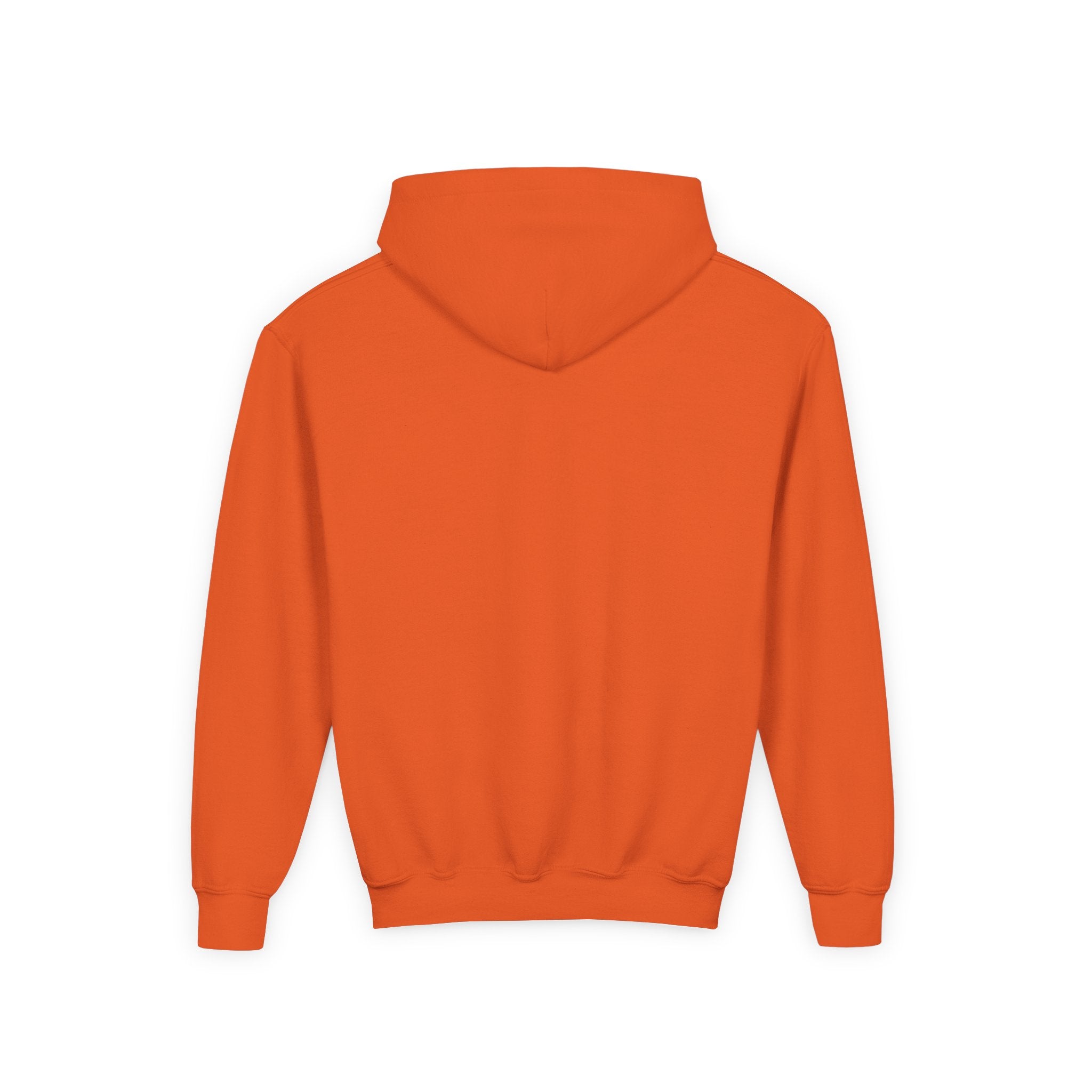 Youth Hoodie — “100 Days of School” Colorful Smiley Daisy Celebration