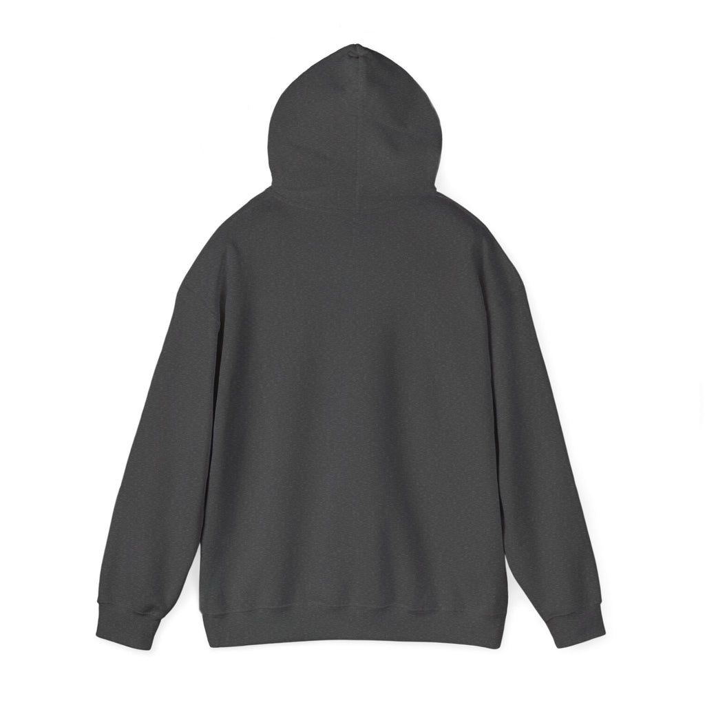 Pharmacists Are Superheroes Hoodie — "Pharmacists Medication Superheroes" Graphic Hooded Sweatshirt