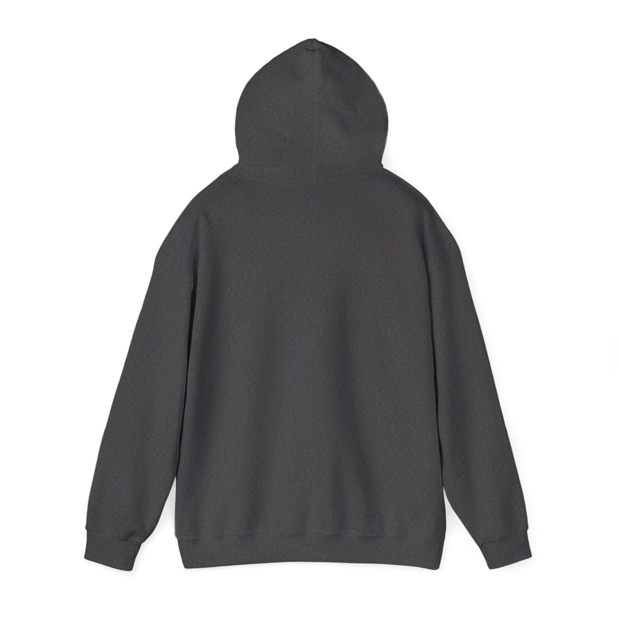 Pharmacists Are Superheroes Hoodie — "Pharmacists Medication Superheroes" Graphic Hooded Sweatshirt