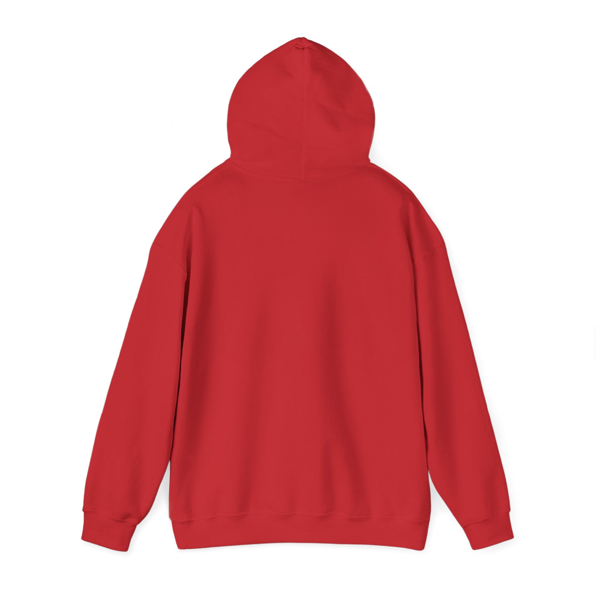Pharmacists Are Superheroes Hoodie — "Pharmacists Medication Superheroes" Graphic Hooded Sweatshirt