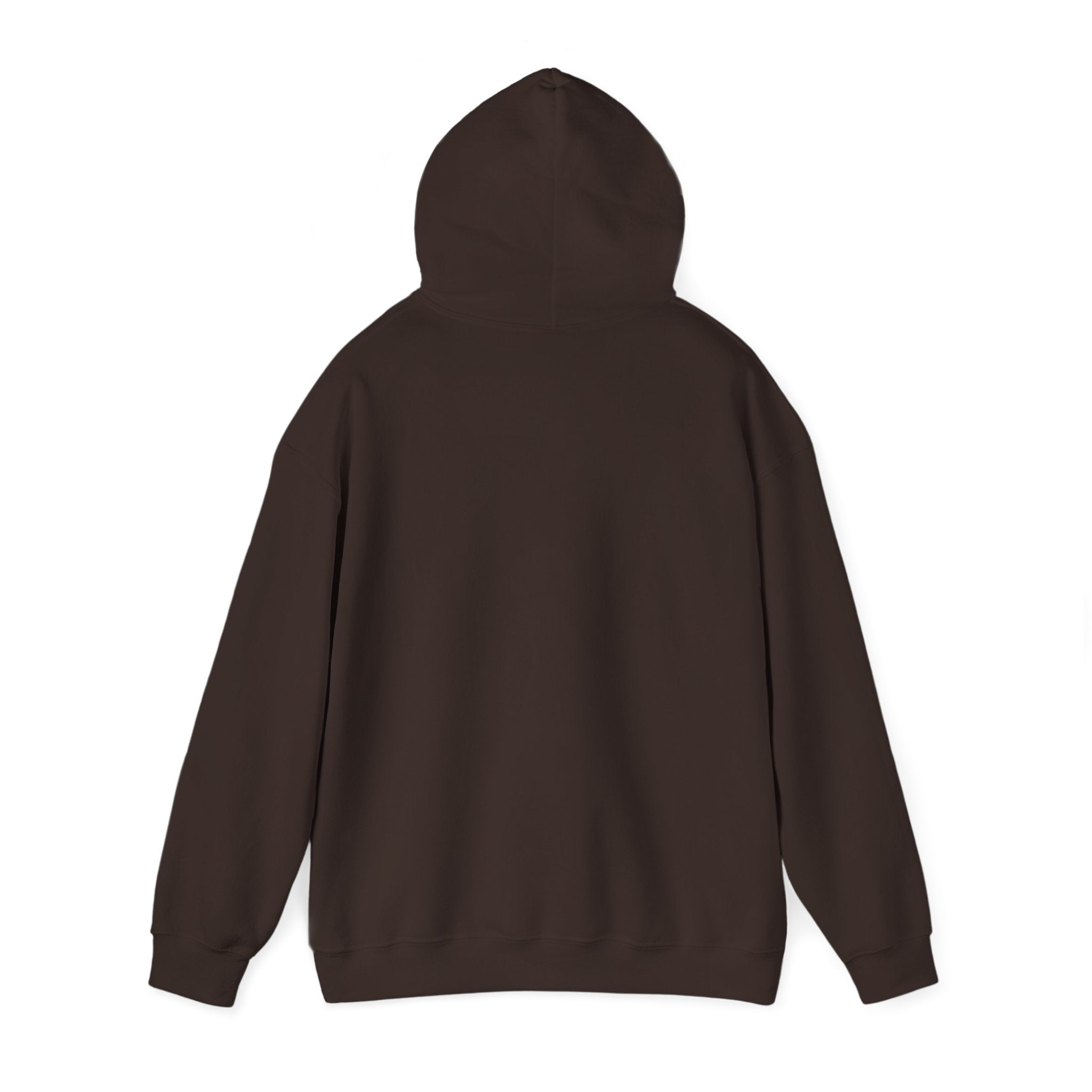 Know Your A1C Hoodie — Diabetes Awareness Sweatshirt