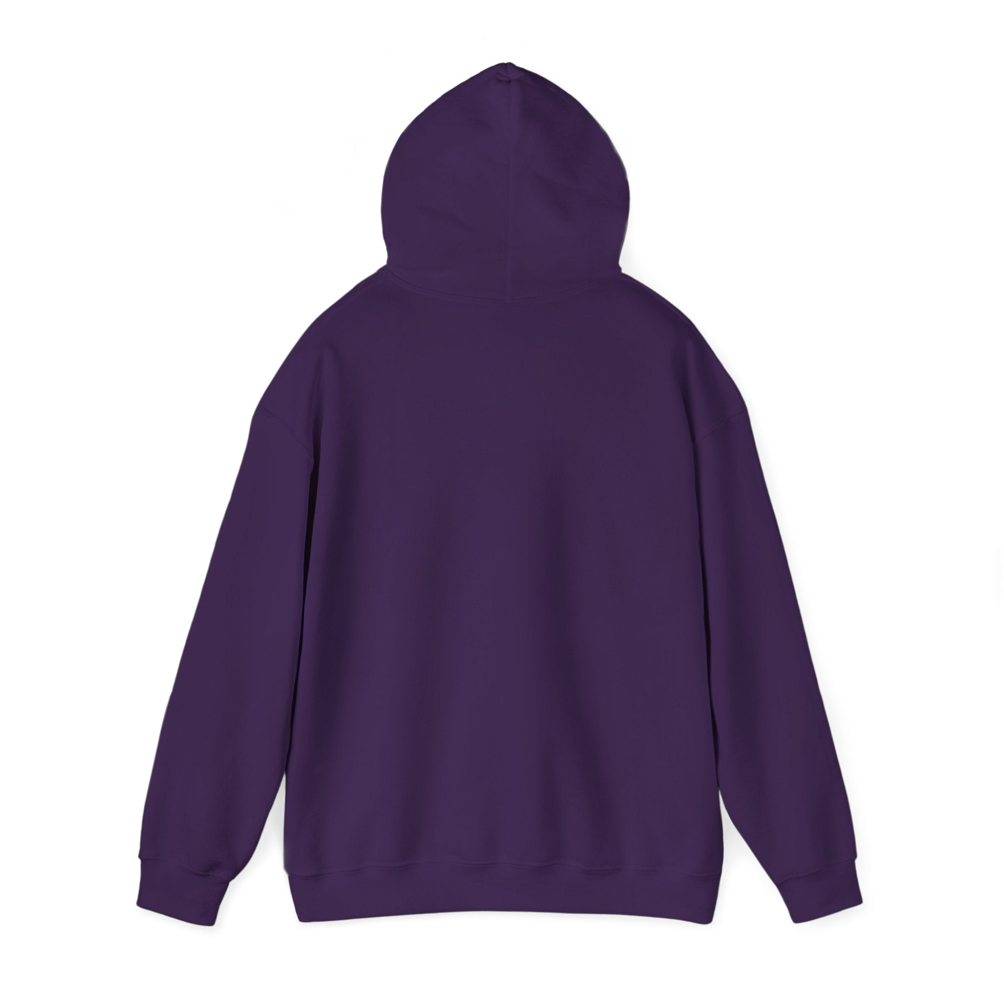 Reading Rainbow Hoodie — Inspirational Book Lover Sweatshirt (Believe in Magic)
