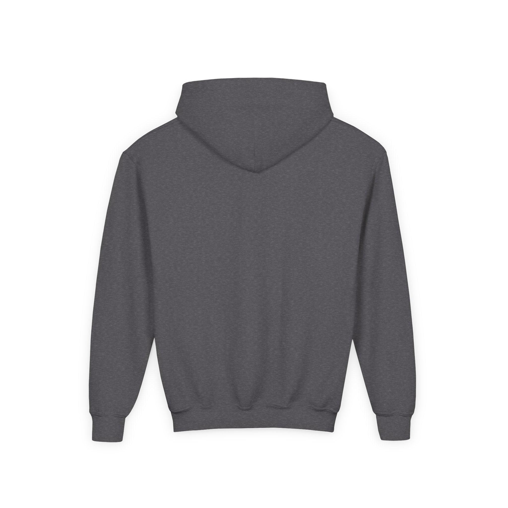 Youth Hoodie — “100 Days of School” Colorful Smiley Daisy Celebration