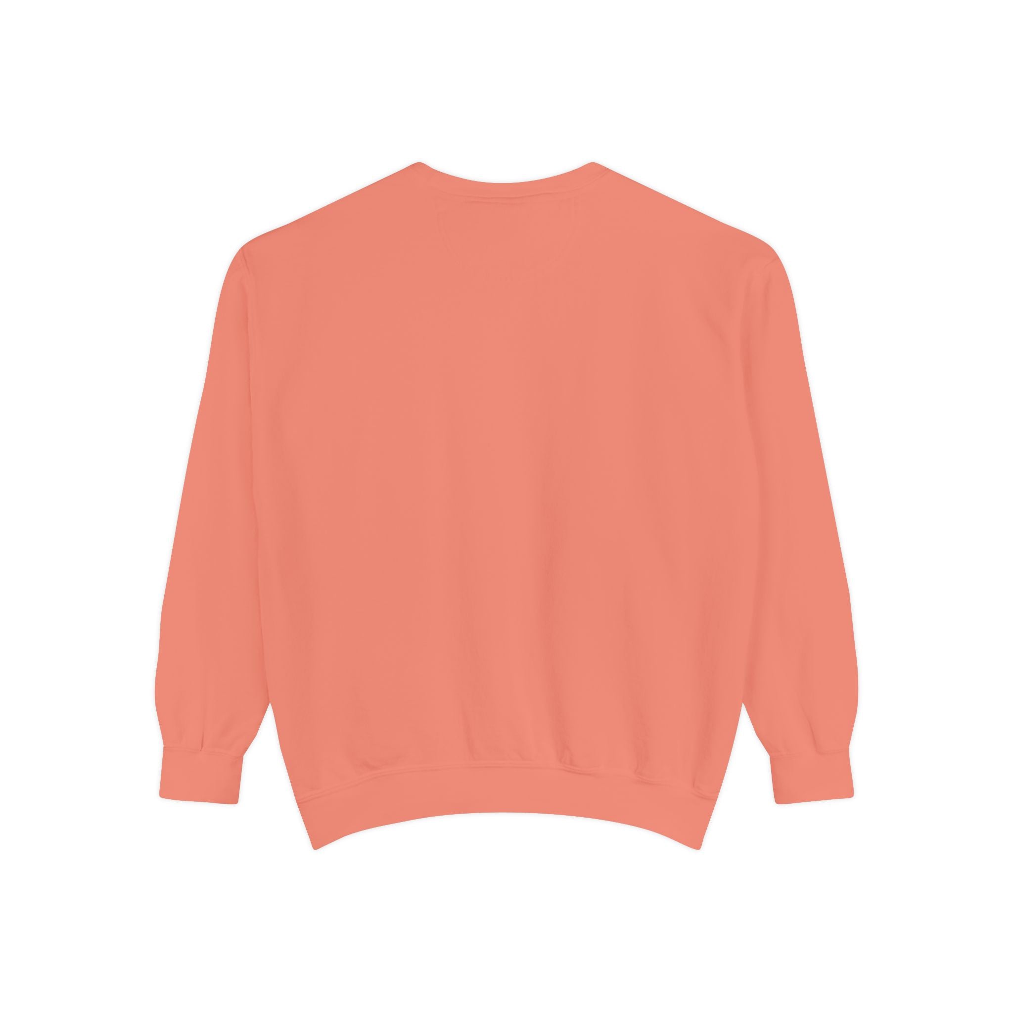 Medication Safety Matters Sweatshirt — Rx Pharmacy Nurse Healthcare Crewneck