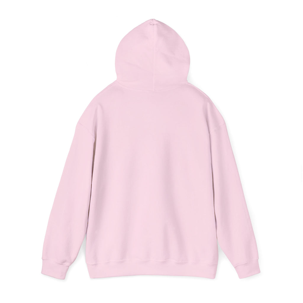 Pharmacists Are Superheroes Hoodie — "Pharmacists Medication Superheroes" Graphic Hooded Sweatshirt