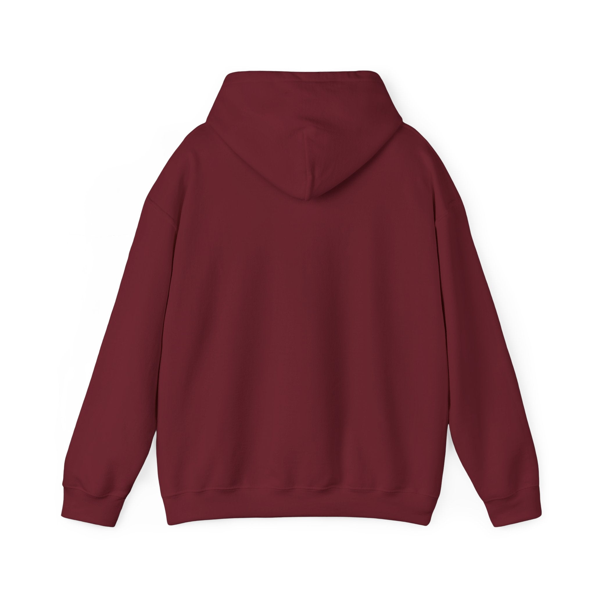 Know Your A1C Hoodie — Diabetes Awareness Sweatshirt