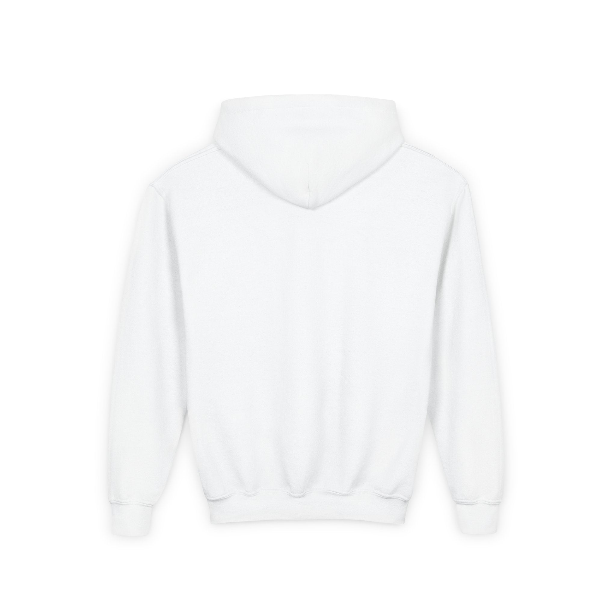 Youth Hoodie — “100 Days of School” Colorful Smiley Daisy Celebration