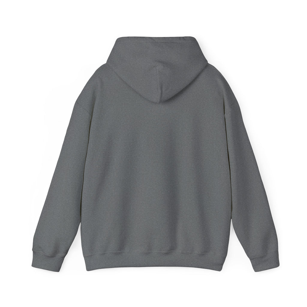 Pharmacists Are Superheroes Hoodie — "Pharmacists Medication Superheroes" Graphic Hooded Sweatshirt