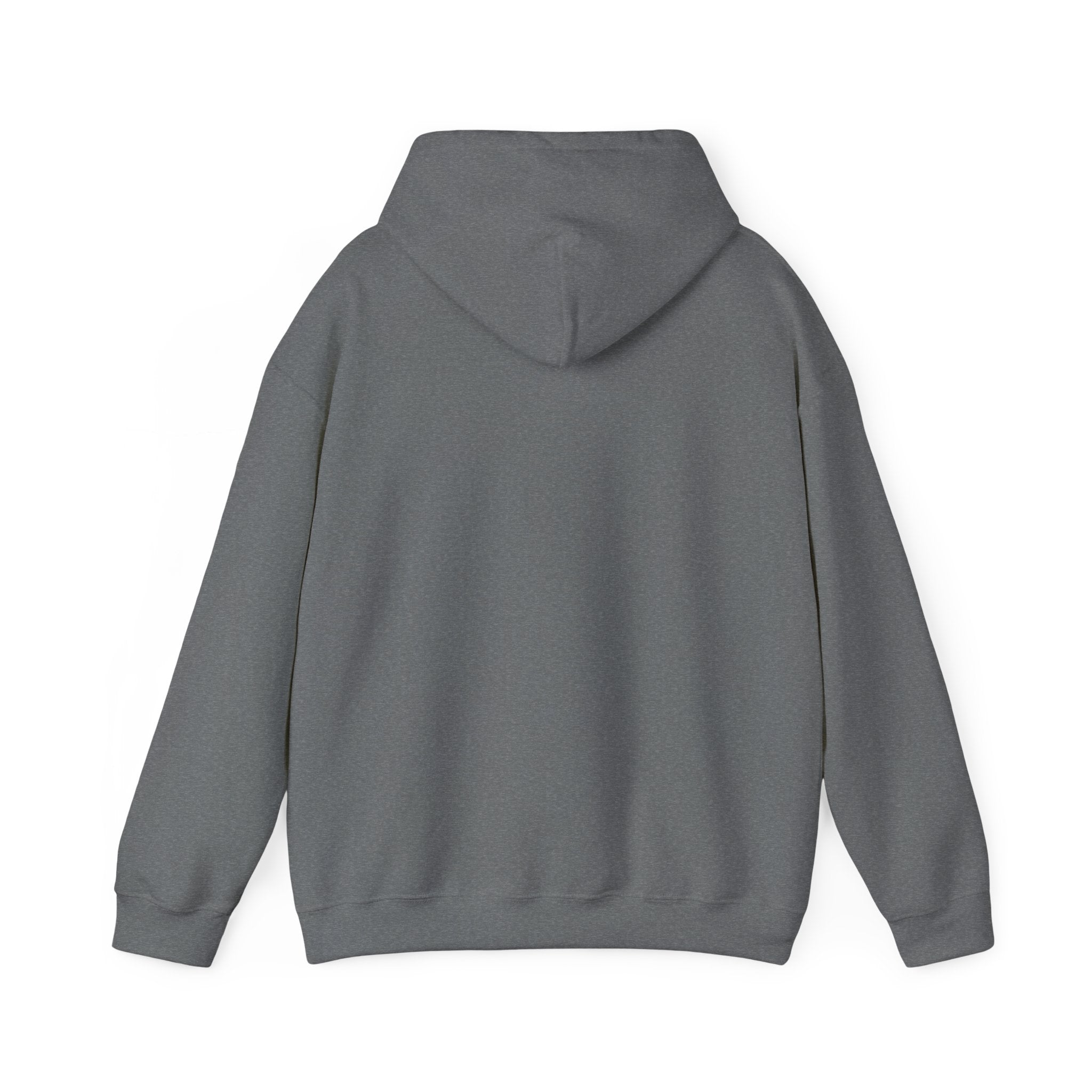 Pharmacists Are Superheroes Hoodie — "Pharmacists Medication Superheroes" Graphic Hooded Sweatshirt