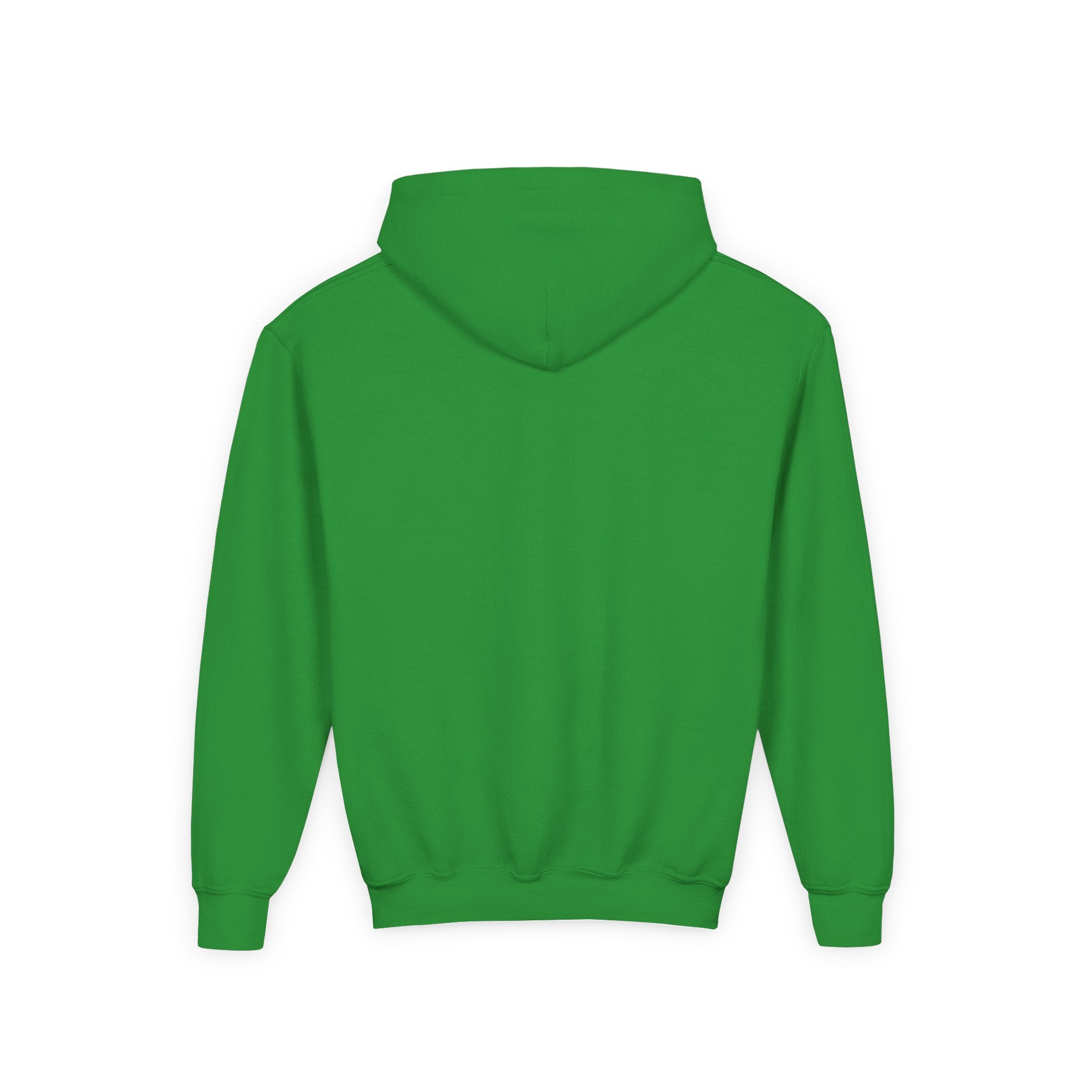 Youth Hoodie — “100 Days of School” Colorful Smiley Daisy Celebration
