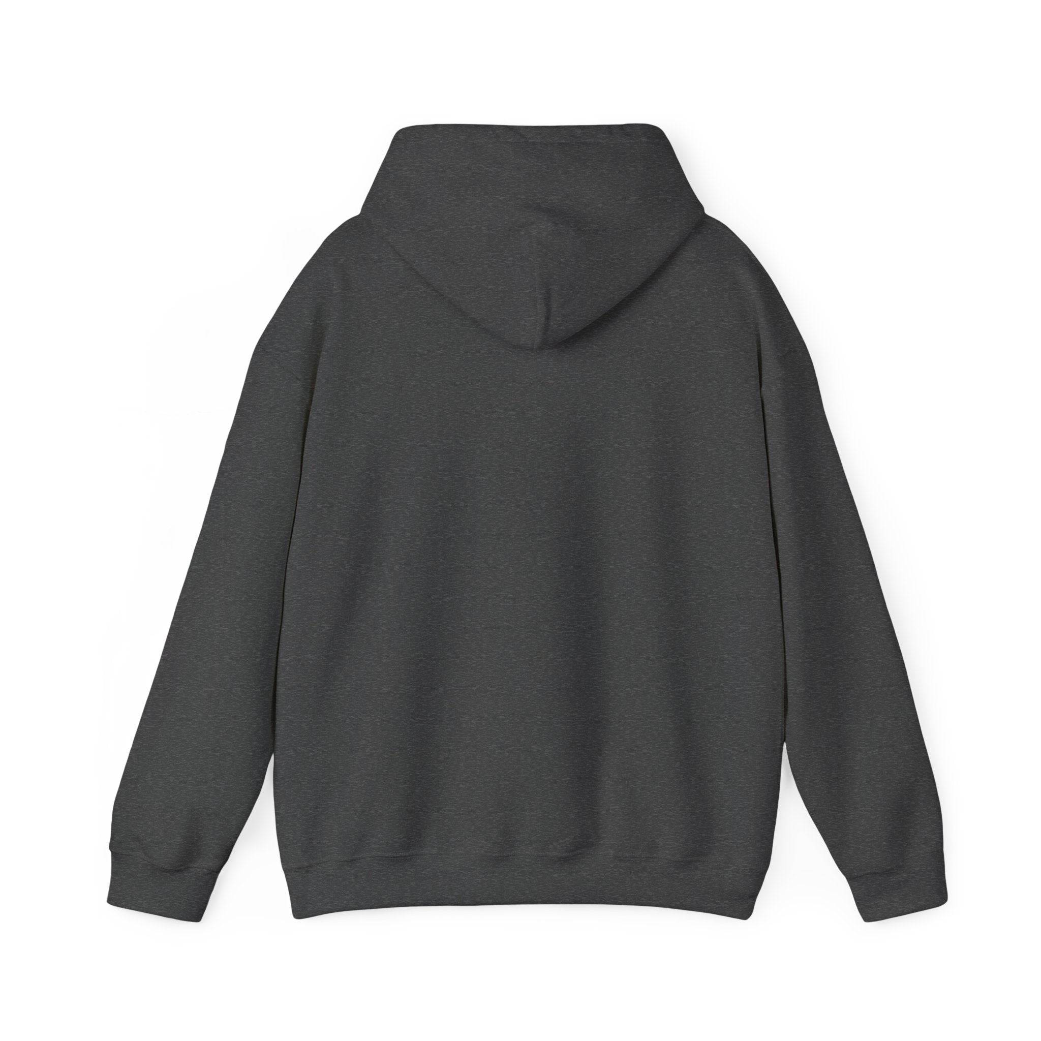 Pharmacists Are Superheroes Hoodie — "Pharmacists Medication Superheroes" Graphic Hooded Sweatshirt