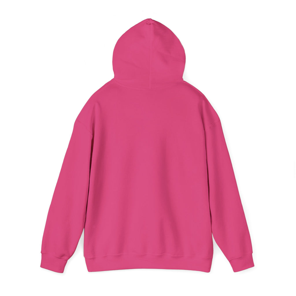 Pharmacists Are Superheroes Hoodie — "Pharmacists Medication Superheroes" Graphic Hooded Sweatshirt