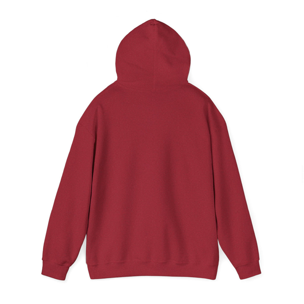 Pharmacists Are Superheroes Hoodie — "Pharmacists Medication Superheroes" Graphic Hooded Sweatshirt