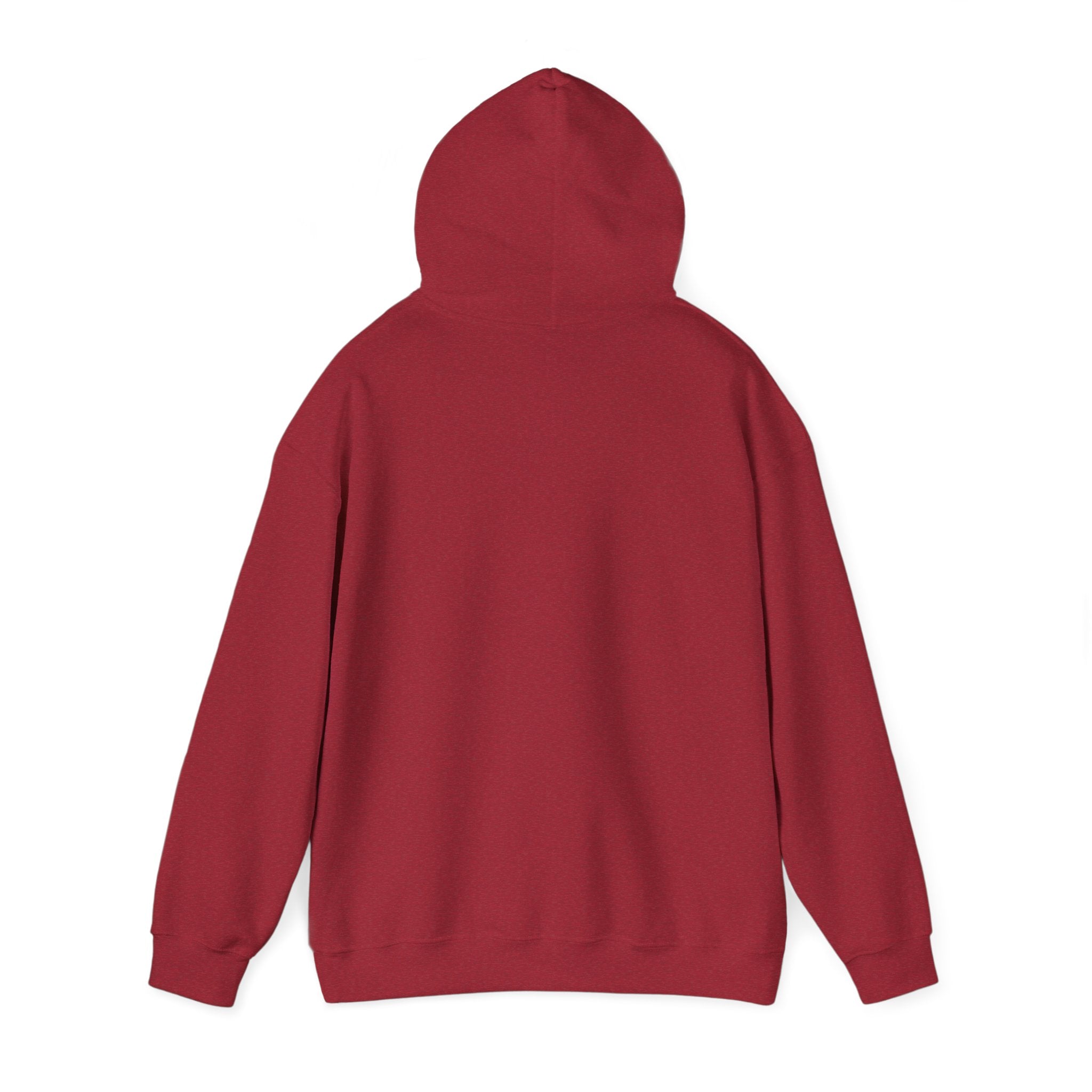 Pharmacists Are Superheroes Hoodie — "Pharmacists Medication Superheroes" Graphic Hooded Sweatshirt