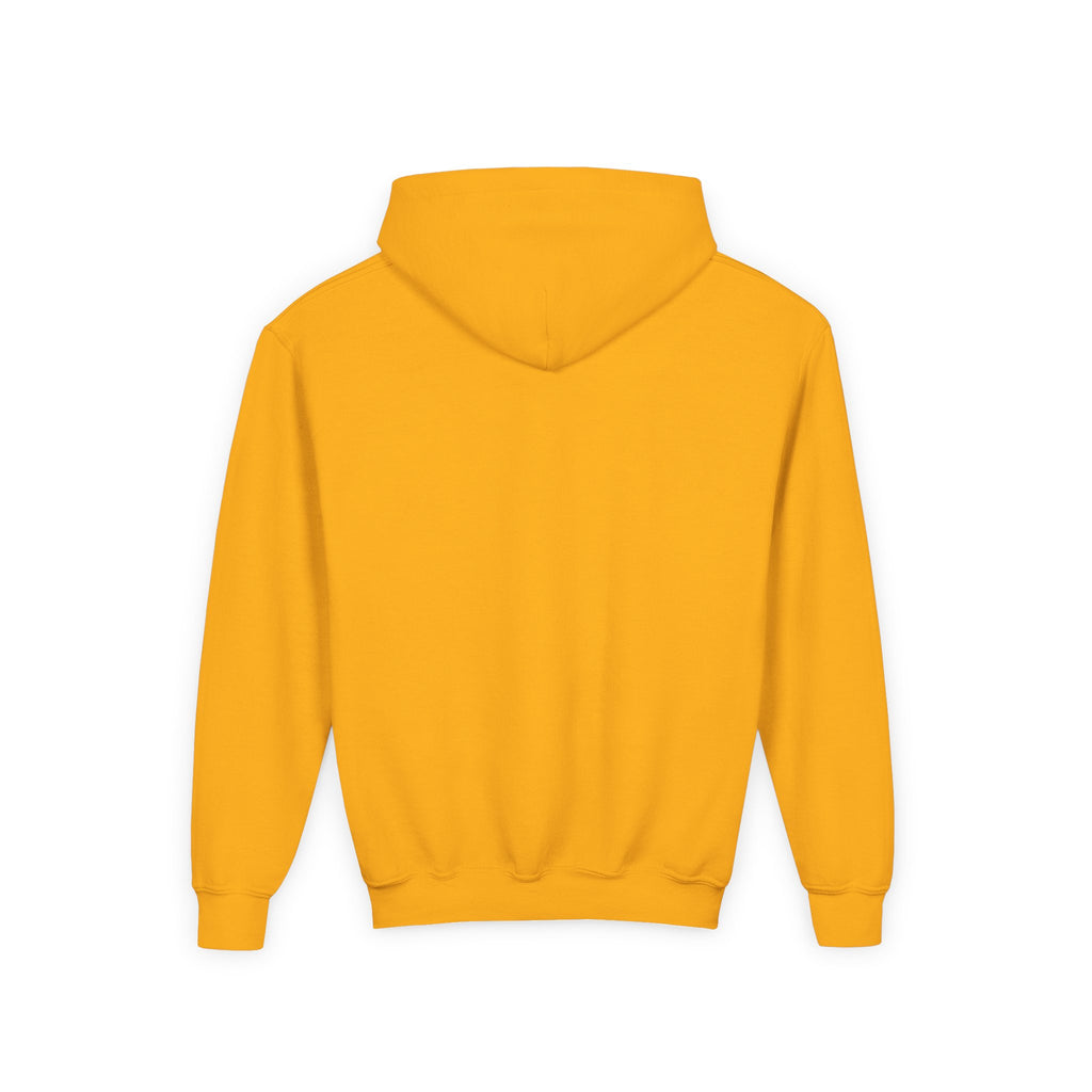 Youth Hoodie — “100 Days of School” Colorful Smiley Daisy Celebration