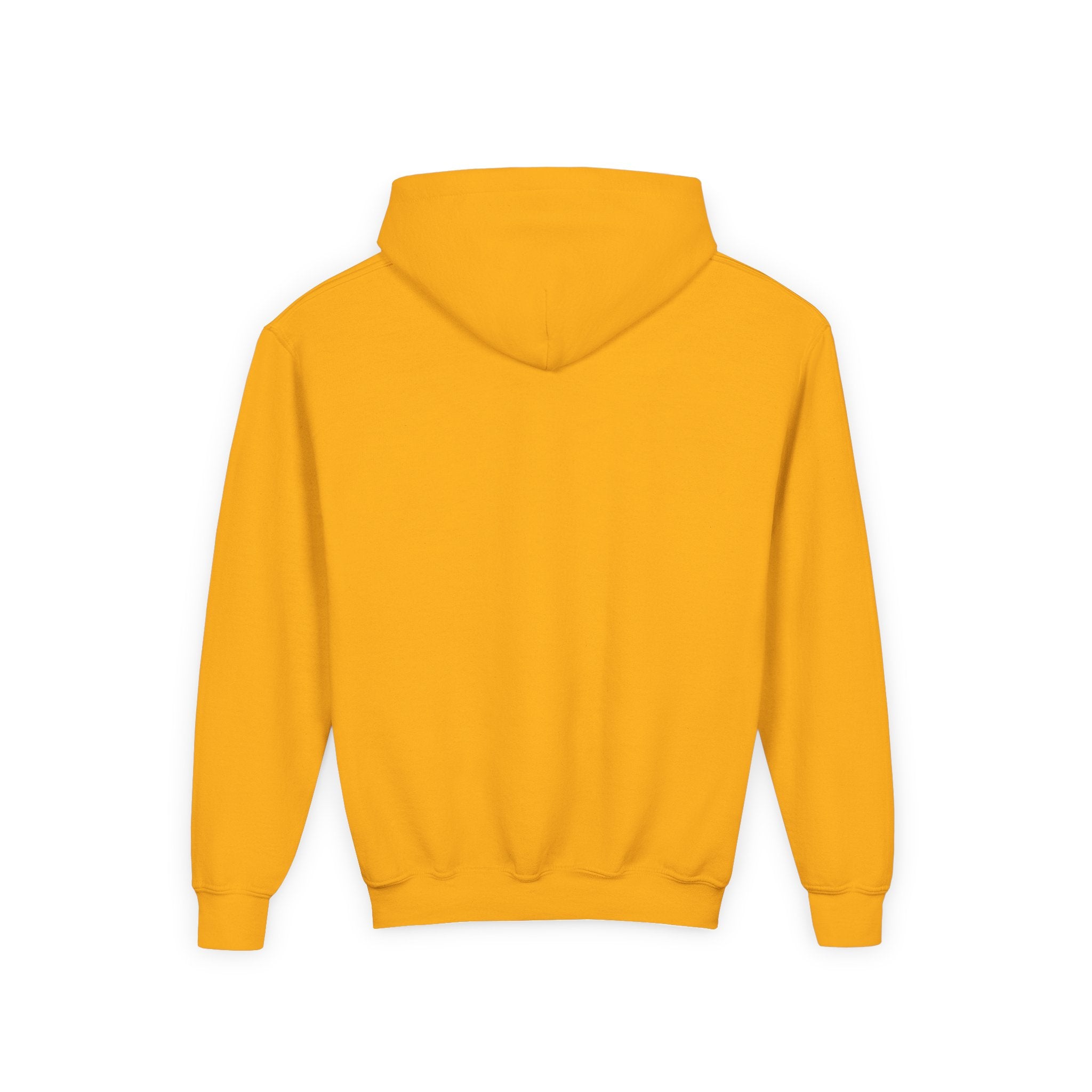 Youth Hoodie — “100 Days of School” Colorful Smiley Daisy Celebration