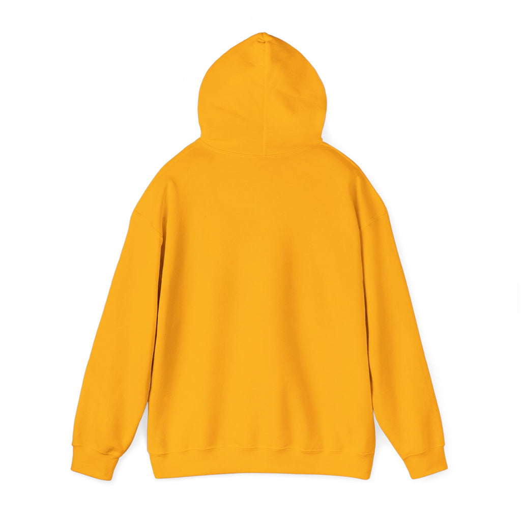 Pharmacists Are Superheroes Hoodie — "Pharmacists Medication Superheroes" Graphic Hooded Sweatshirt
