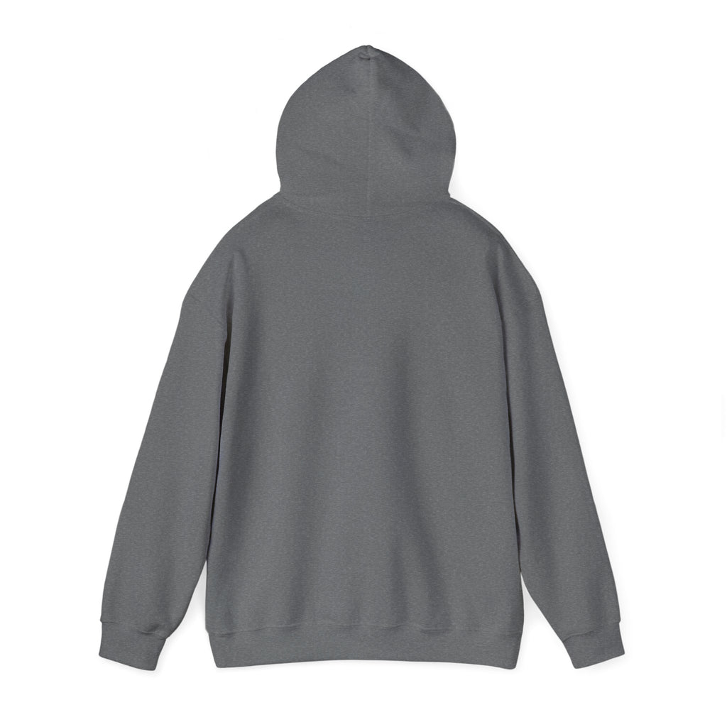 Pharmacists Are Superheroes Hoodie — "Pharmacists Medication Superheroes" Graphic Hooded Sweatshirt