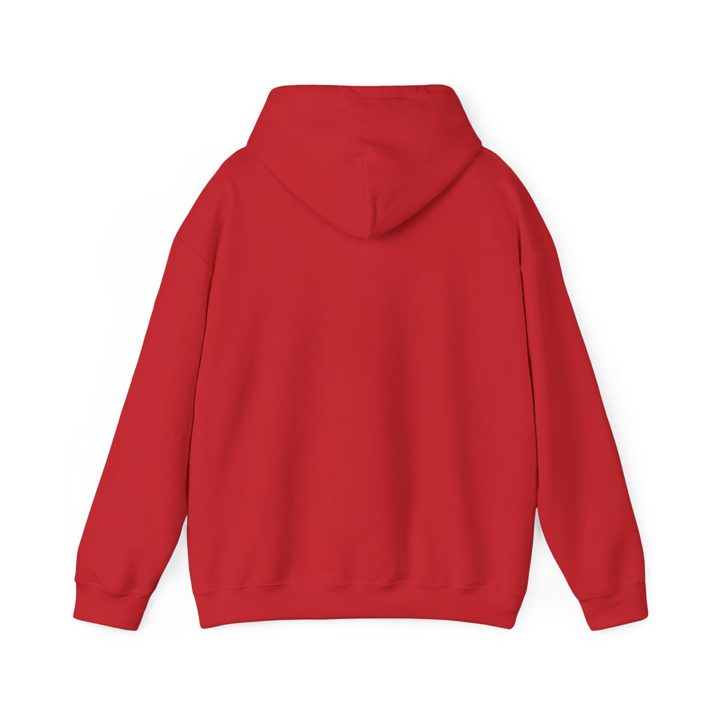 Pharmacists Are Superheroes Hoodie — "Pharmacists Medication Superheroes" Graphic Hooded Sweatshirt