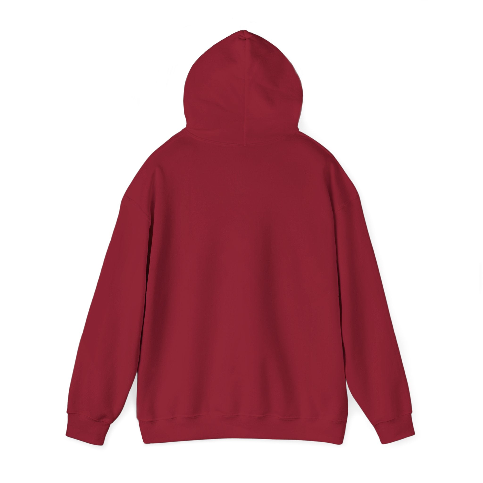 Know Your A1C Hoodie — Diabetes Awareness Sweatshirt