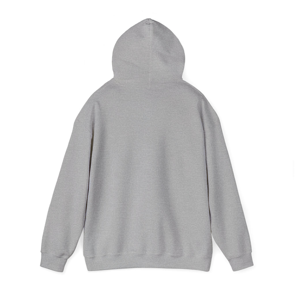 Pharmacists Are Superheroes Hoodie — "Pharmacists Medication Superheroes" Graphic Hooded Sweatshirt