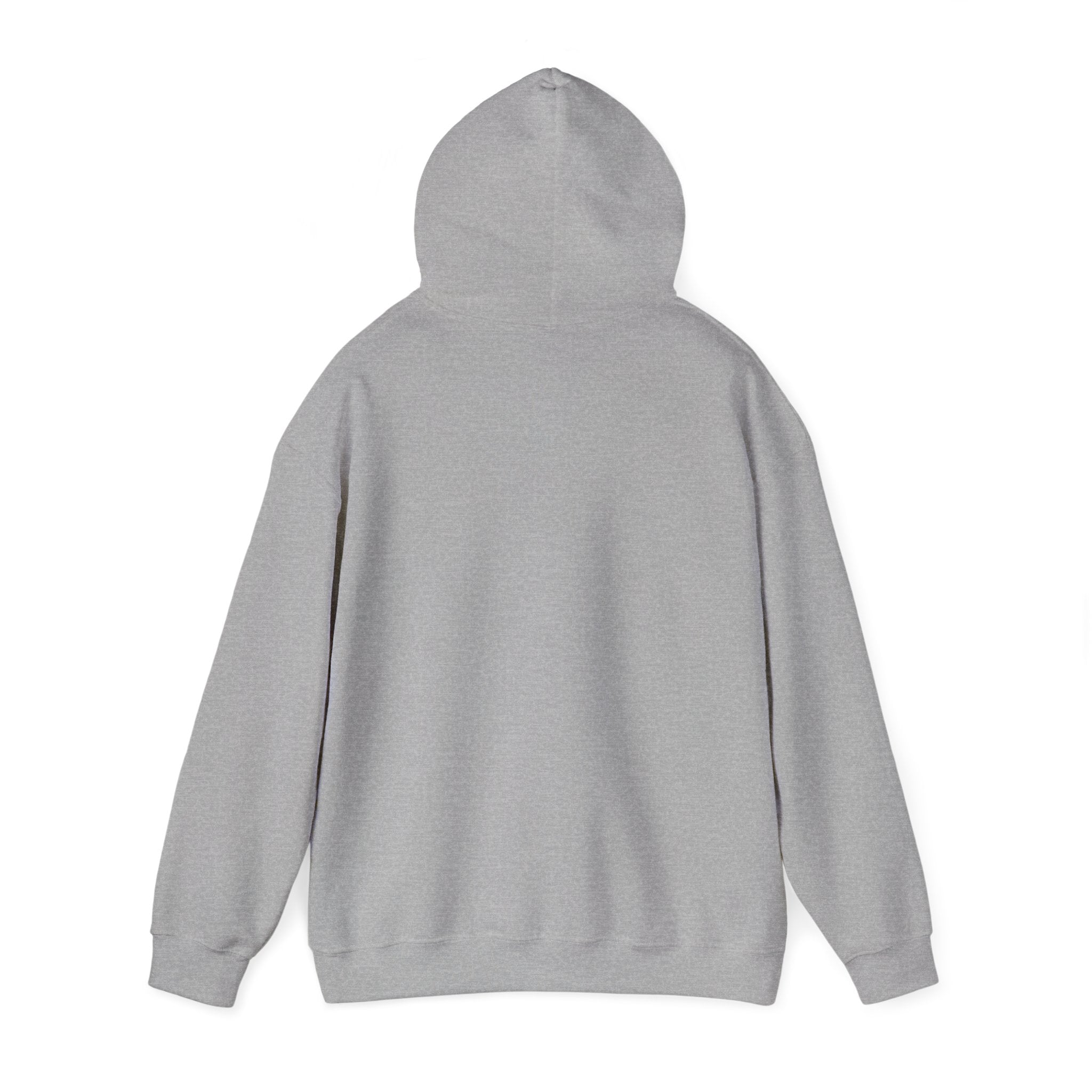 Pharmacists Are Superheroes Hoodie — "Pharmacists Medication Superheroes" Graphic Hooded Sweatshirt