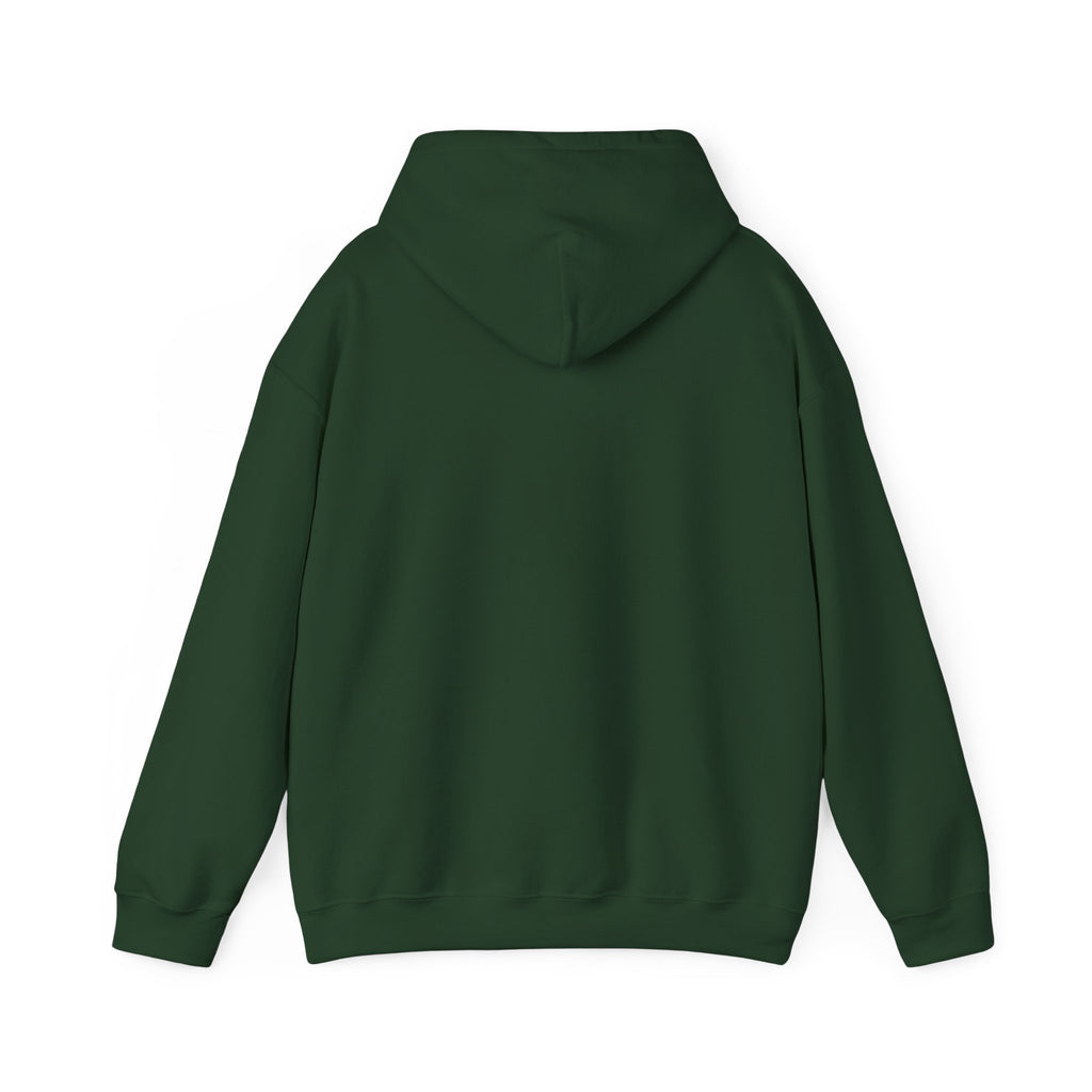 Cozy Witch Vibes Hoodie — "Not That Sh!t" Cute Witch Illustration Hoodie